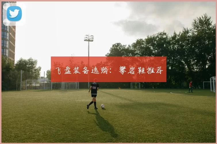 飞盘装备选购：攀岩鞋推荐