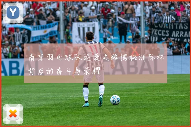 南京羽毛球队逆袭之路揭秘洲际杯背后的奋斗与荣耀