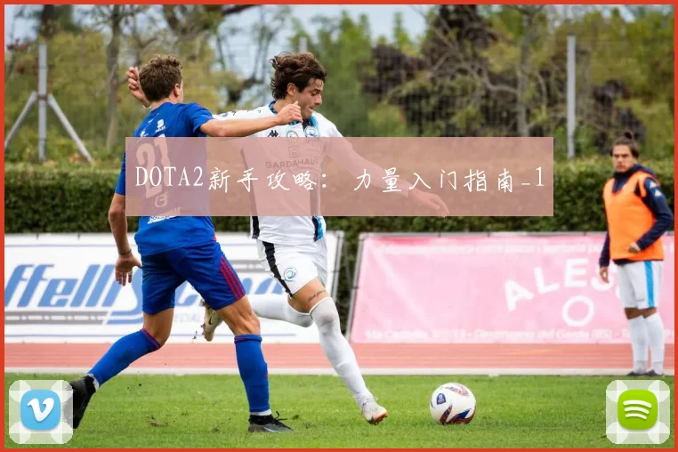 DOTA2新手攻略：力量入门指南_1