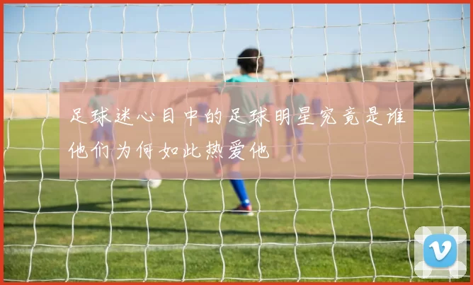 足球迷心目中的足球明星究竟是谁他们为何如此热爱他